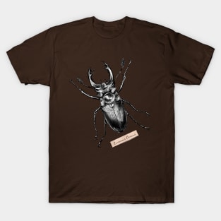 Stag Beetle - Lucanus Cervus T-Shirt